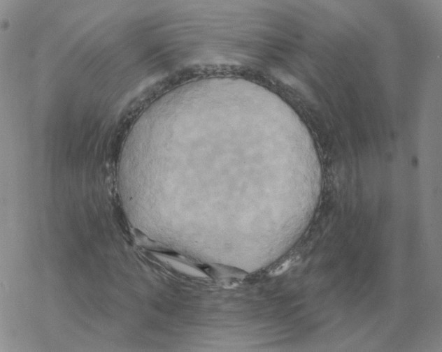 X0000068320870200605192030