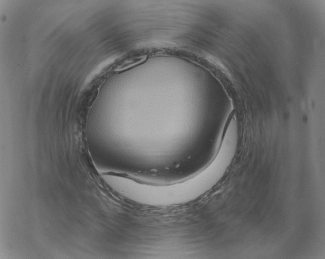 X0000068320872200605192030