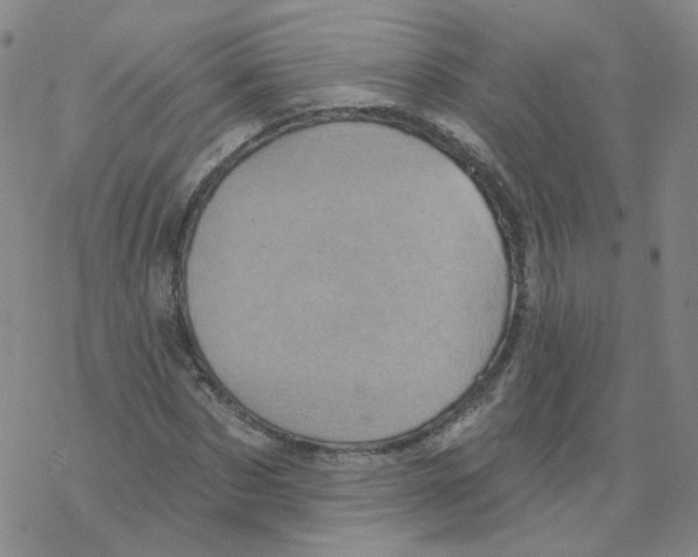 X0000068320873200605192030