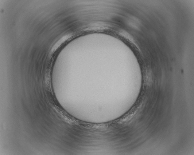 X0000068320874200605192030