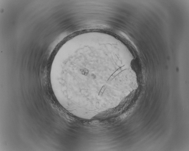 X0000068320875200605192030