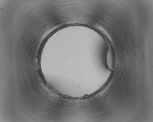 X0000068320876200605192030