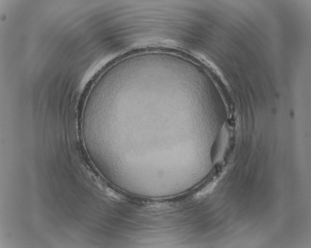 X0000068320877200605192030