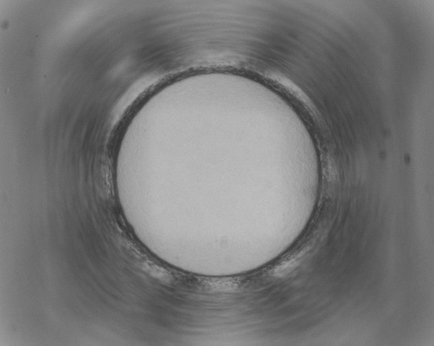 X0000068320878200605192030