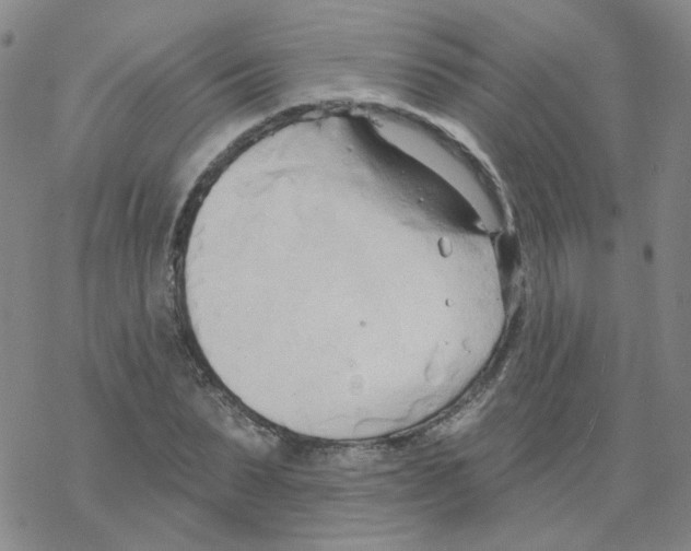 X0000068320879200605192030