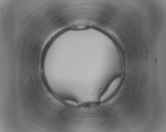 X0000068320880200605192030