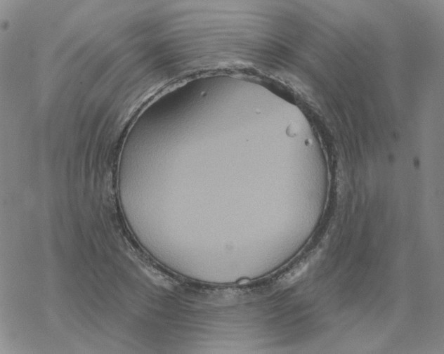 X0000068320881200605192030