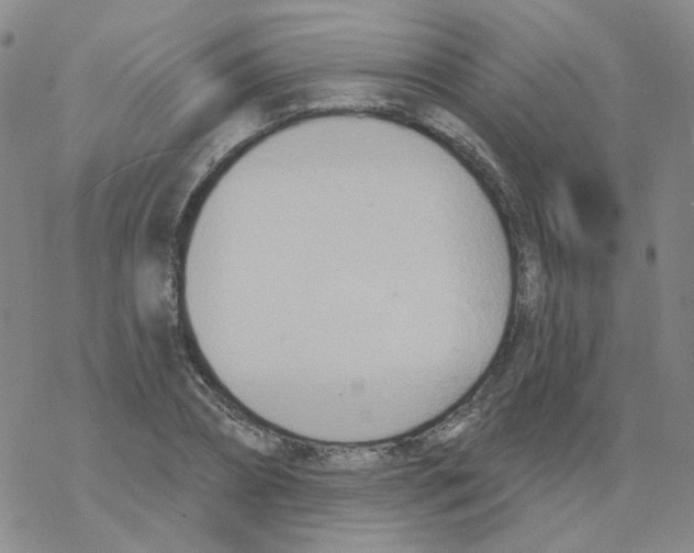 X0000068320882200605192030