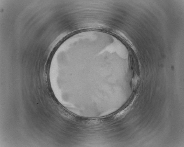 X0000068320883200605192030