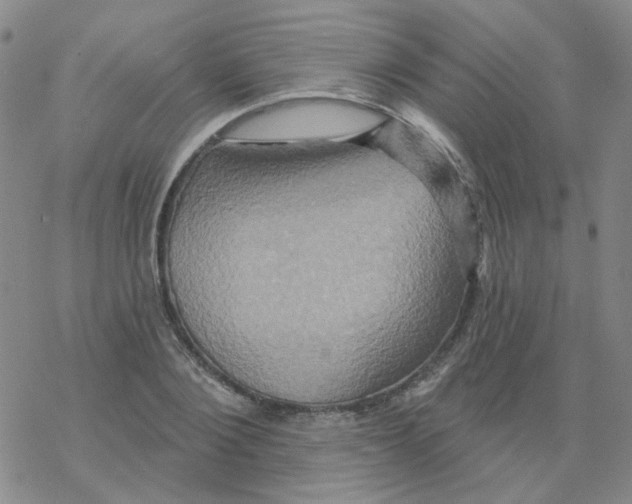 X0000068320884200605192030