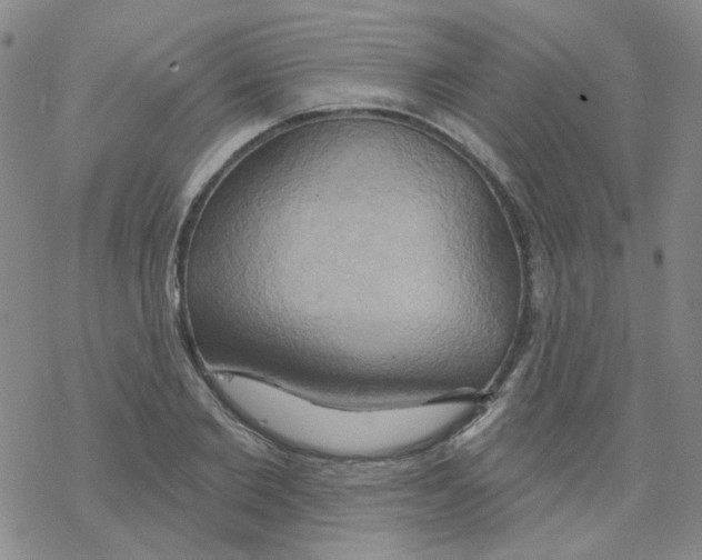 X0000068320885200605192030