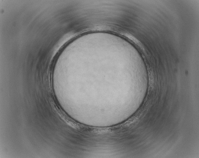 X0000068320886200605192030