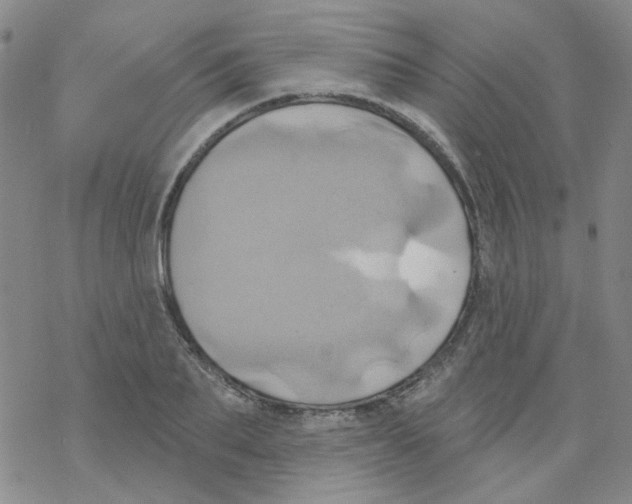 X0000068320887200605192030