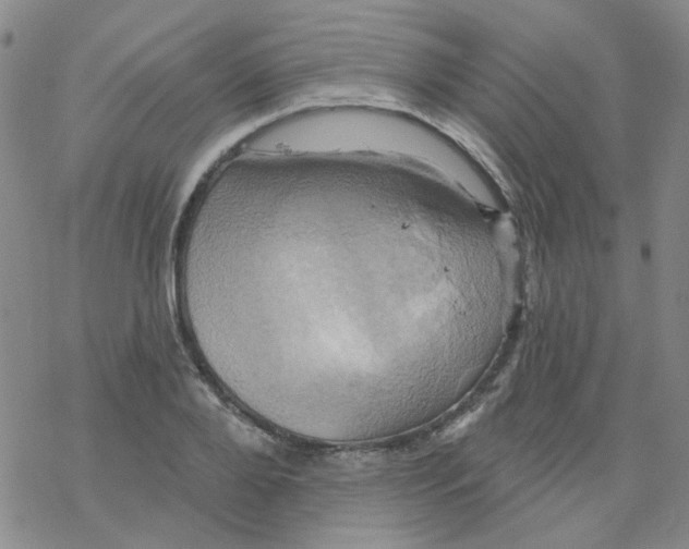 X0000068320888200605192030