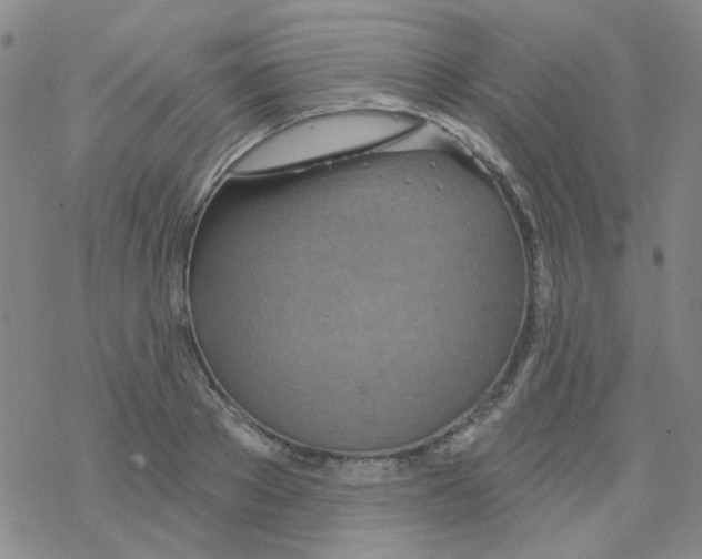 X0000068320889200605192030