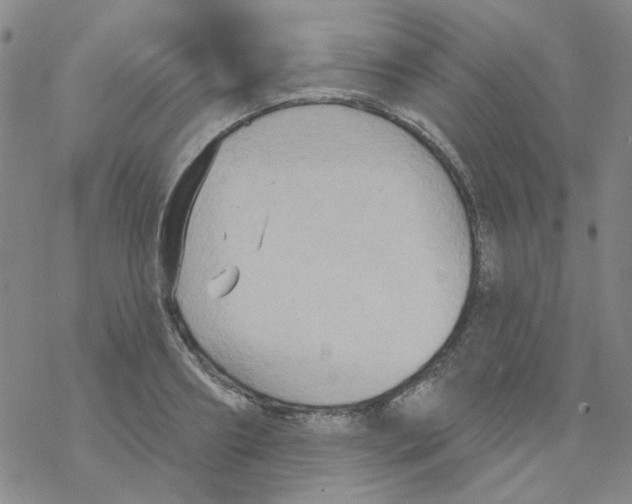 X0000068320890200605192030