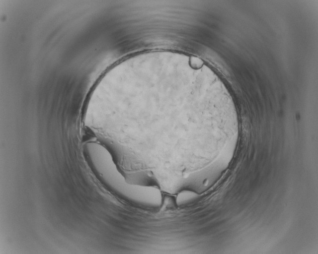 X0000068320891200605192030