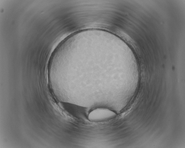 X0000068320892200605192030