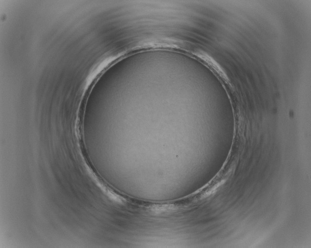 X0000068320893200605192030