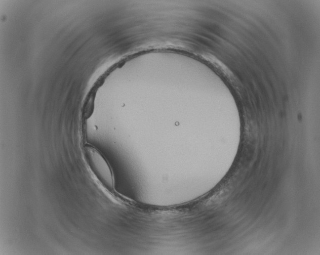 X0000068320894200605192030