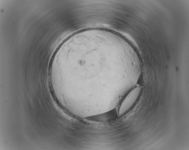 X0000068320895200605192030