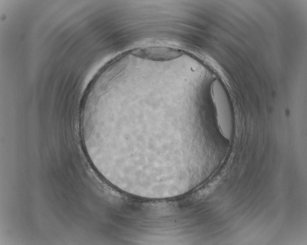 X0000068320896200605192030