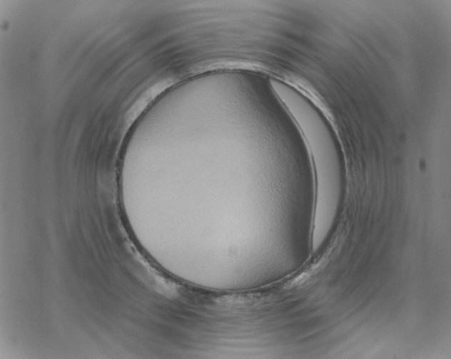 X0000068320898200605192030