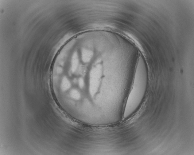 X0000068320899200605192030