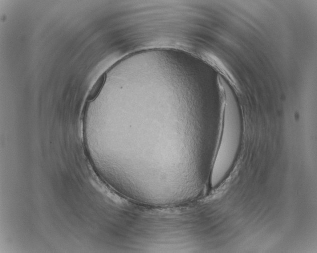 X0000068320900200605192030