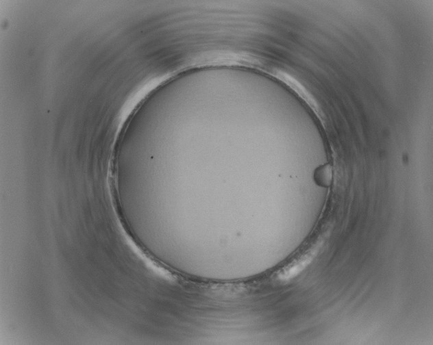 X0000068320901200605192030