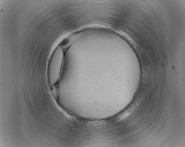 X0000068320902200605192030