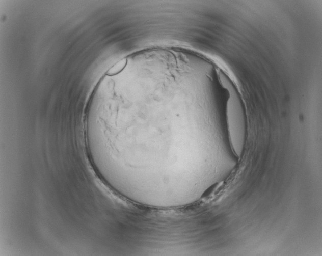 X0000068320903200605192030