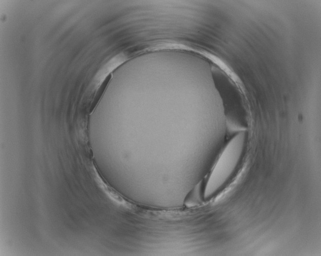 X0000068320905200605192030