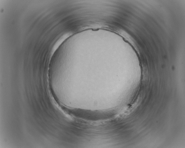 X0000068320906200605192030