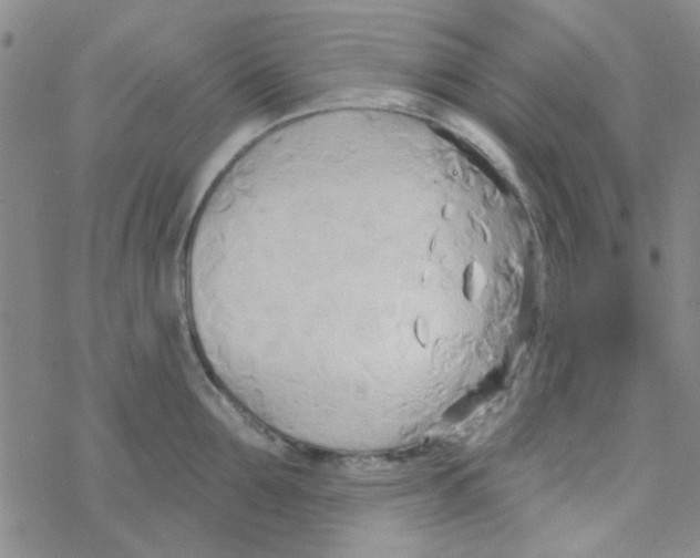 X0000068320907200605192030