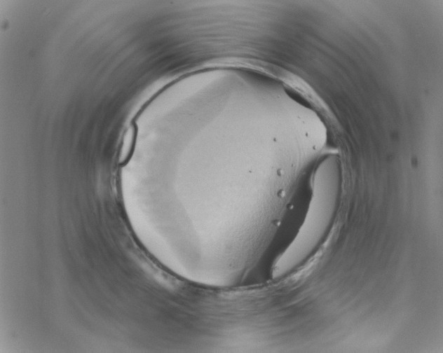 X0000068320908200605192030