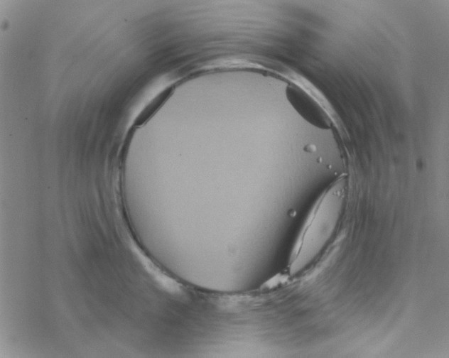 X0000068320909200605192030