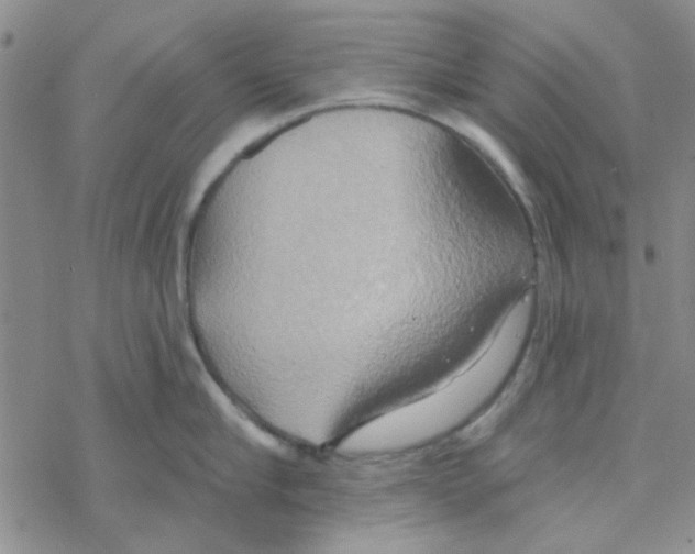 X0000068320910200605192030