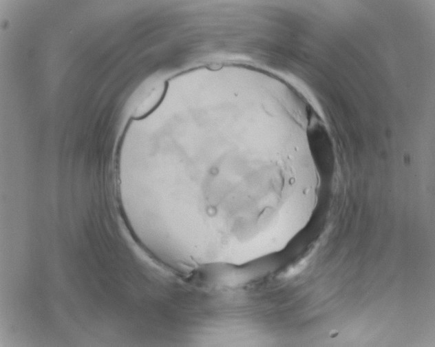 X0000068320911200605192030