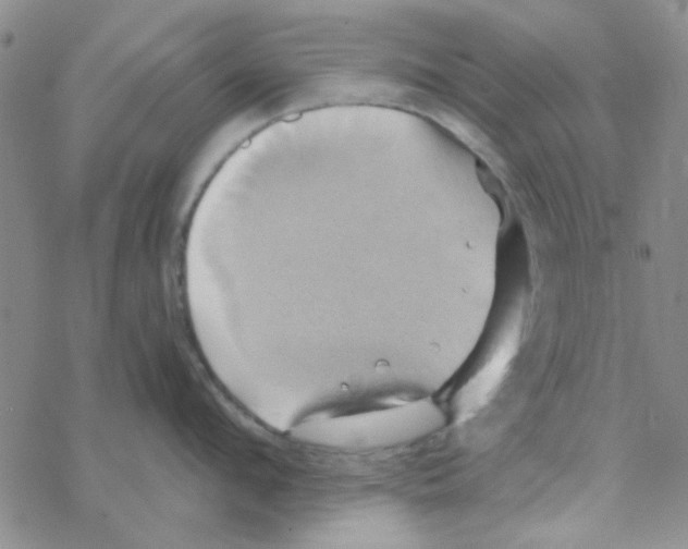 X0000068320912200605192030