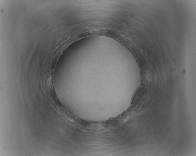 X0000068320914200605192029