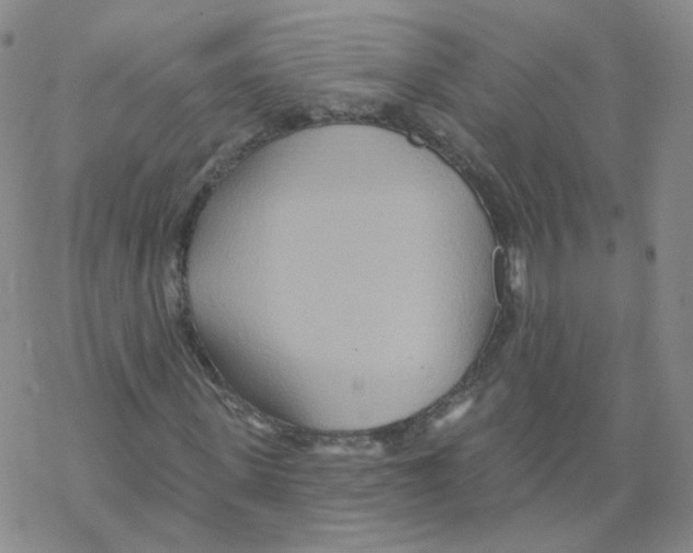 X0000068320915200605192029