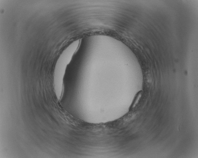 X0000068320916200605192029