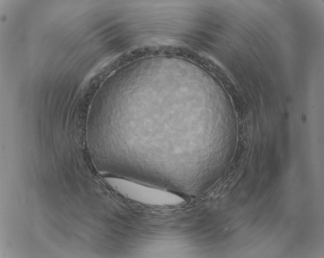 X0000068320919200605192029