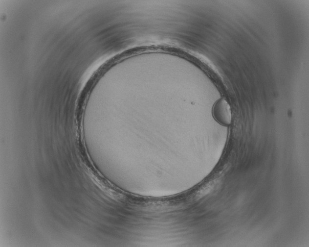 X0000068320927200605192029