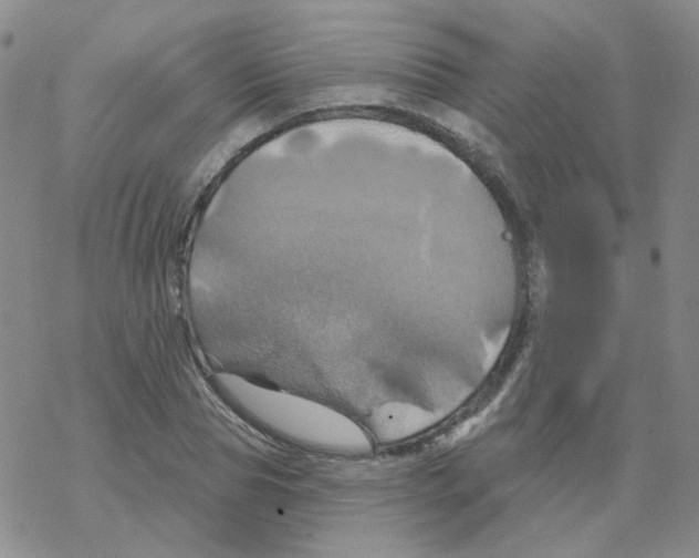 X0000068320929200605192029