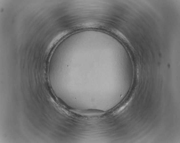 X0000068320930200605192029