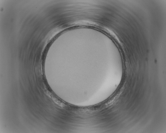 X0000068320931200605192029