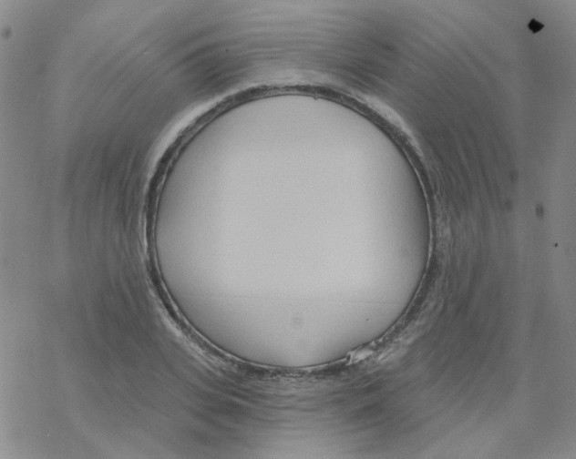 X0000068320935200605192029