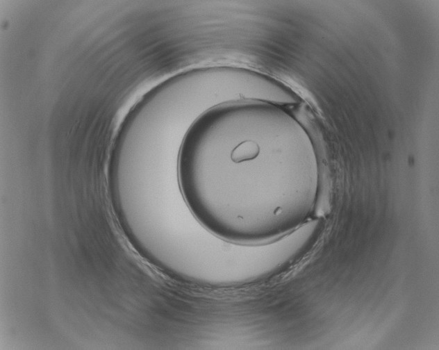 X0000068320936200605192029